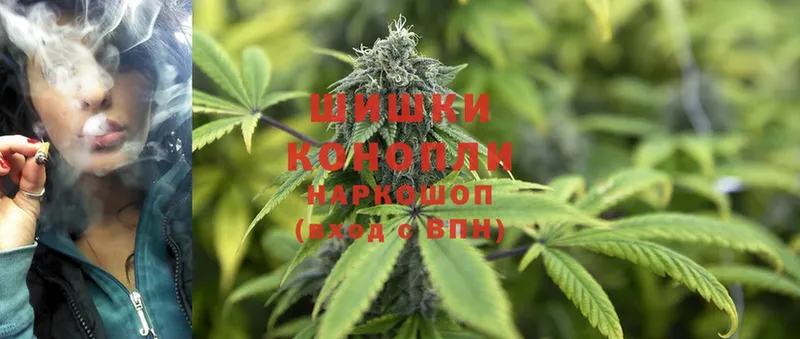 Каннабис SATIVA & INDICA  Аша 